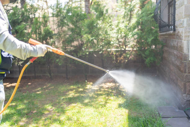 Insect Control in Conway, FL