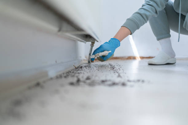 Professional Pest Control in Conway, FL